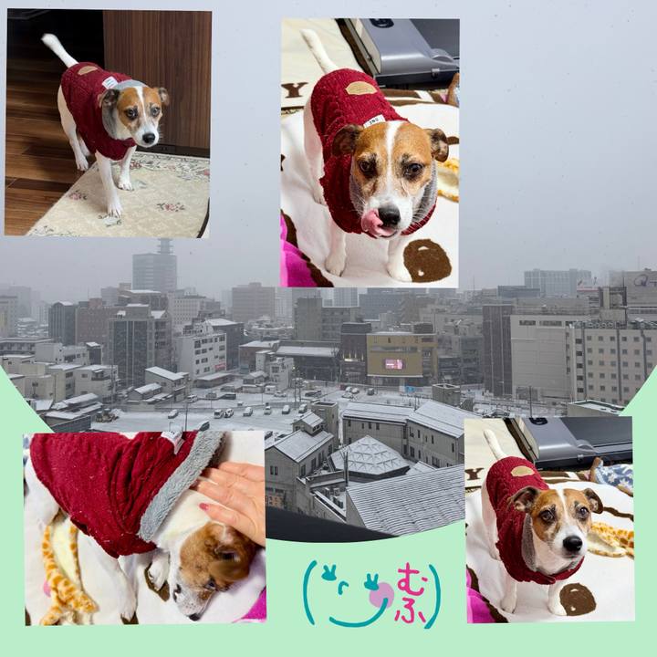 409bb04d ebc3 4848 a788 02456b446ab0 1770779252915