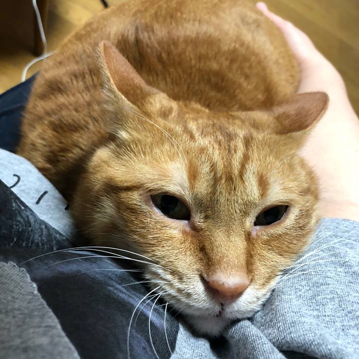 409bd252 cb18 4631 9f64 668512242219 1620635792915