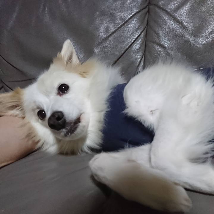 409c3b95 5ac2 4115 b6d2 210ca6618600 1638274794330