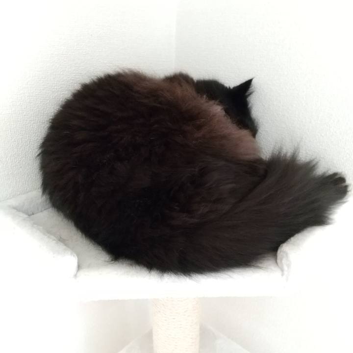 409c669a 36f9 41d0 ae93 e252da383880 1602037757486