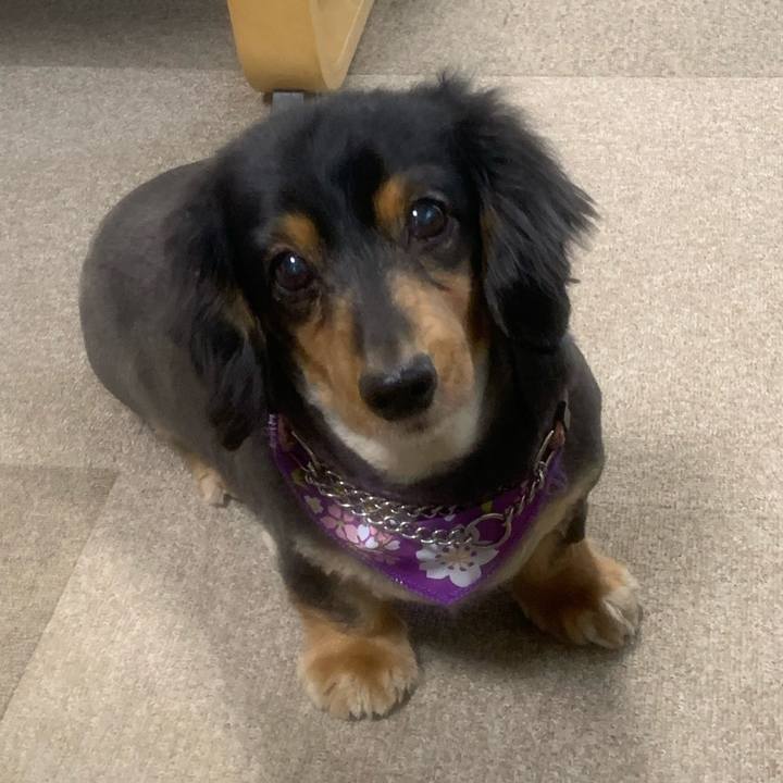 409c68ca f47e 423a 893d 9fe043b413b7 1583704047163