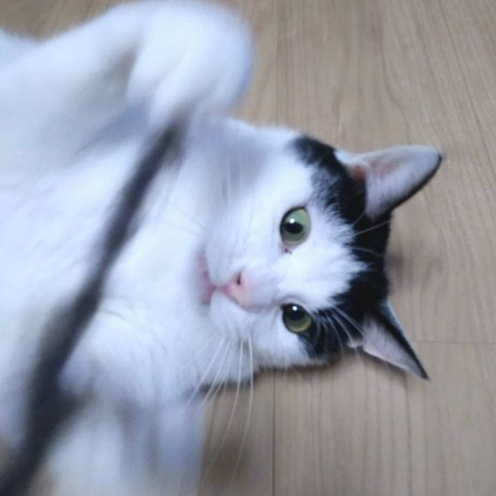 409c8ab3 eb5e 477b 8584 eec0c43fc55a 1546948920904