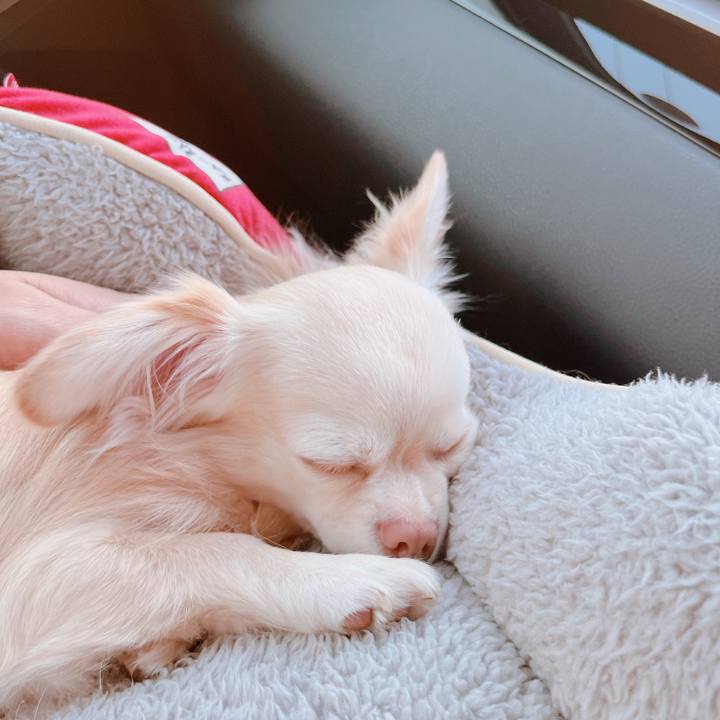 409c90f7 996d 4efb 82ff 959c1a1898f3 1669537333562