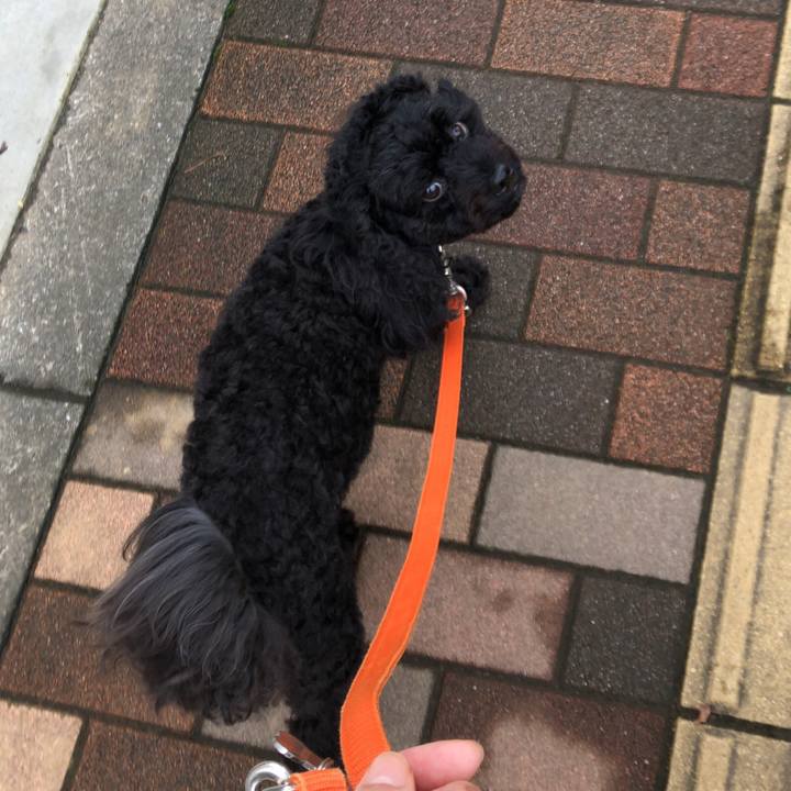 409cba46 85b7 4d57 9dba 4c02b49f318b 1538282928800