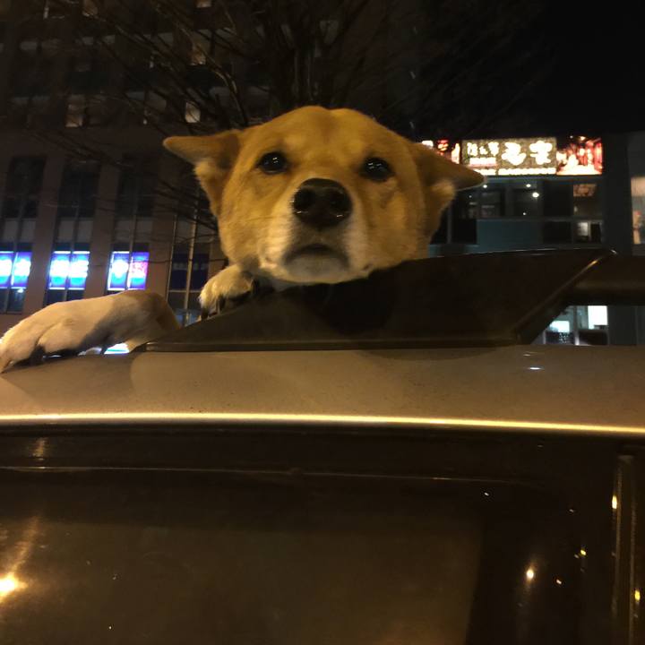 409d13d3 41d4 4f1e af43 7547b92fadf0 1548074735186