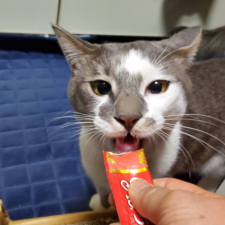 409d2237 3a39 4b39 a42c 647895788ddb 1705110943796