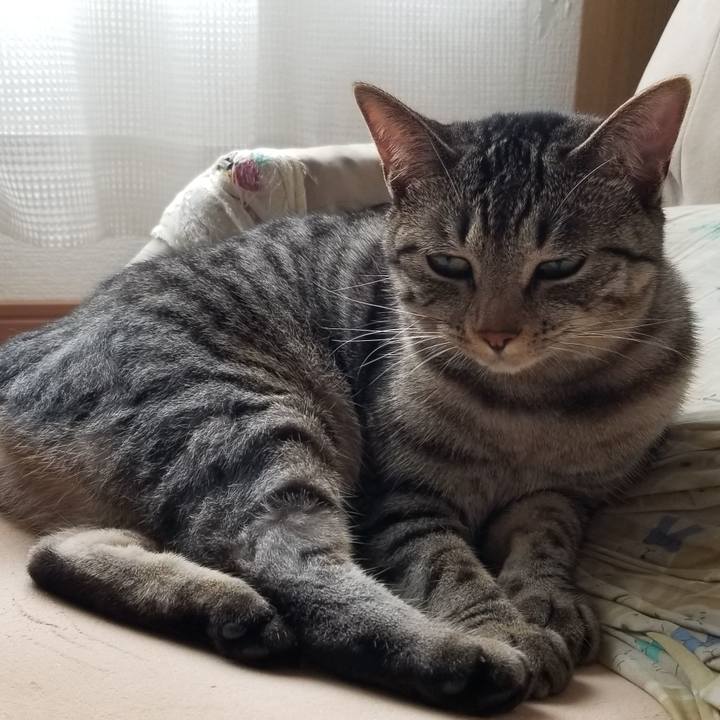 409d3284 4c6e 4375 b489 4faa9e75f5d7 1689647881760