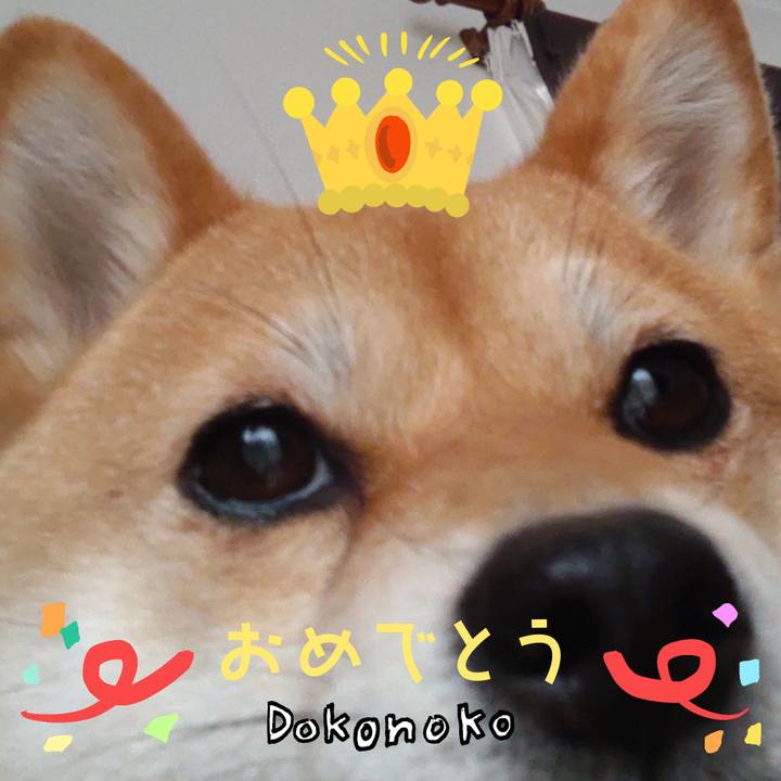 409d3580 bf62 4f03 a8e4 600637435f27 1685958800535