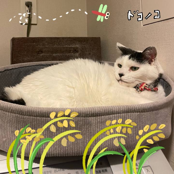 409d3989 2653 46f1 b60f bd9189417820 1762817820115