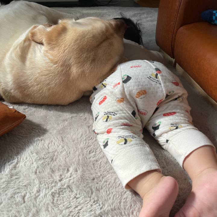 409d4732 3c1c 4455 8bbc 9dcda2a4b5ee 1737777698078