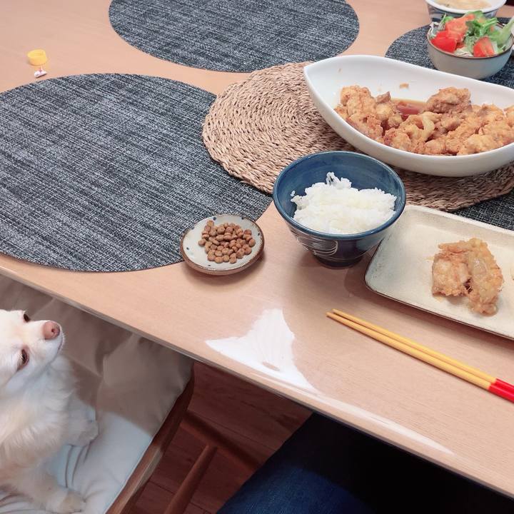 409d5433 1f62 4f8f 8947 7a074baccafc 1712580095852