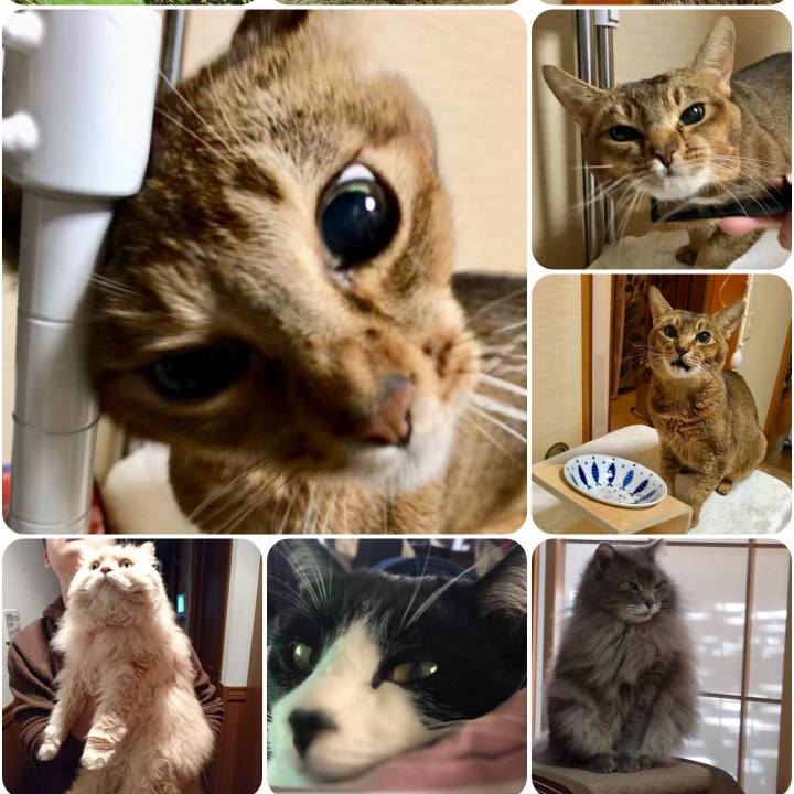 409d6289 6d7a 45ef 8d13 3360900f4d9e 1558613138301