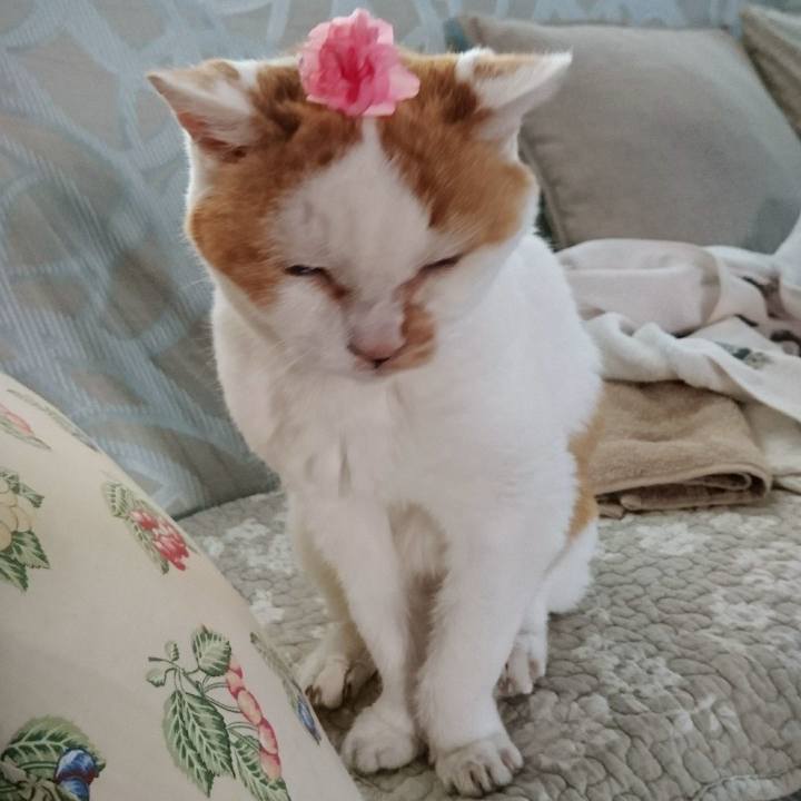 409db44b abef 4759 bd9a 5bbee7a8b996 1629279799532