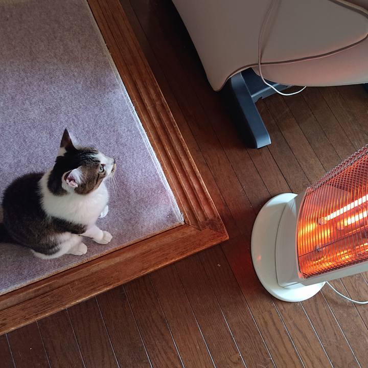 409e00bd 6449 4d05 84ef f41fa1df4bcb 1606694854965