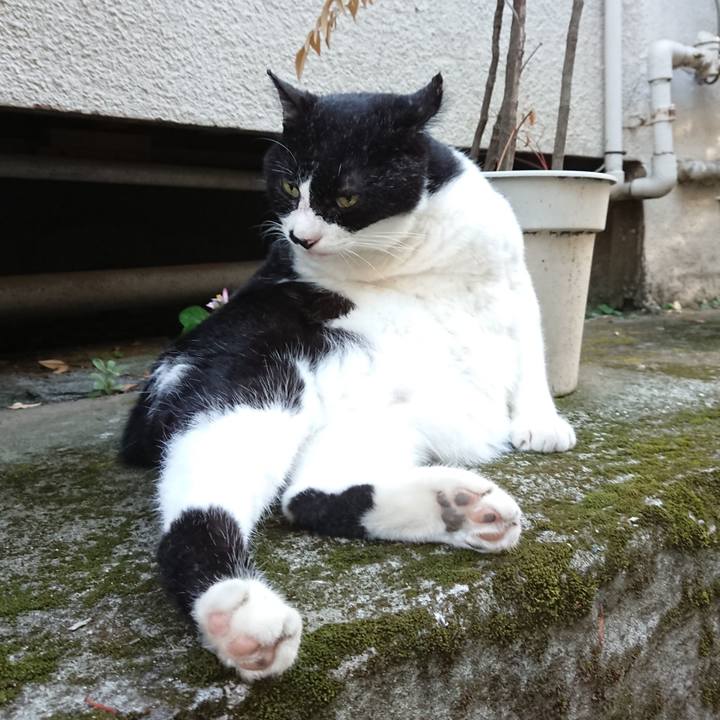 409e02cb d096 4be2 a491 5fe465594c62 1614248805634