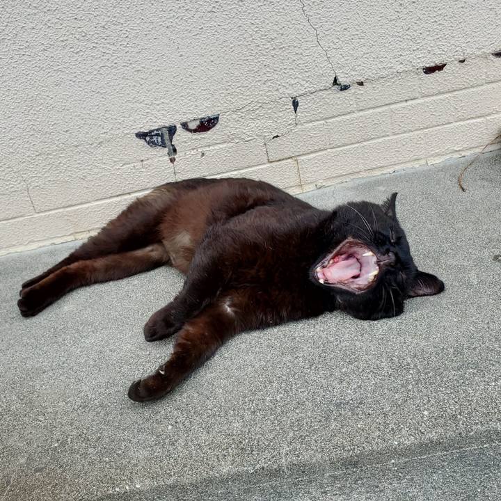 409e151f bd6e 48df a04e 8240ea83f635 1756127265056