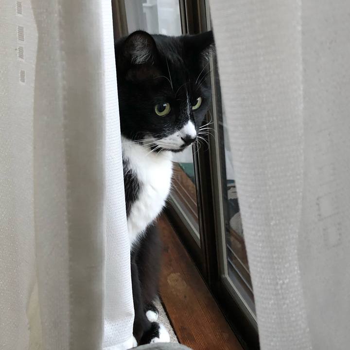 409e2d1c 122e 47d1 9a1d bce98897f74c 1614916295041