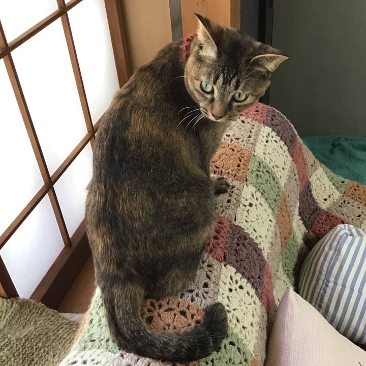 409e85b8 aaeb 412b 8c8b 955878882a76 1642037563343