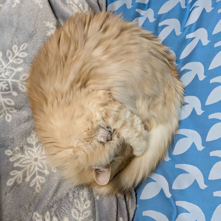 409e9e8c 04a8 4358 8d77 c654adc8a695 1739424151951