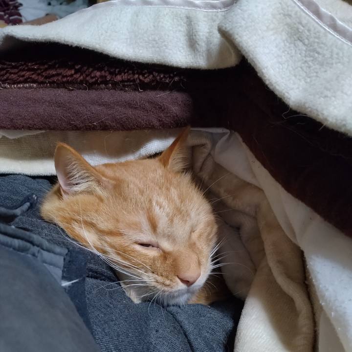 409eb158 7598 41b9 9cfb 9d218af2ef58 1702451361605