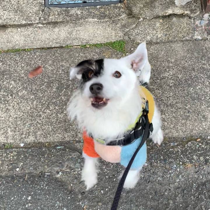 409ecb73 7b35 4c34 9482 c8dd6cbd14b2 1737162834897