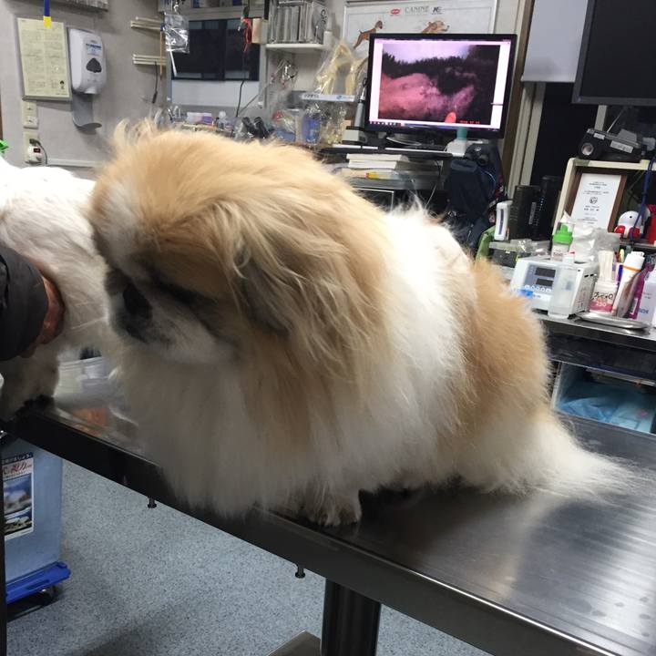 409ee34a 3c5d 47ef 8295 c58ea21d0574 1544796653748