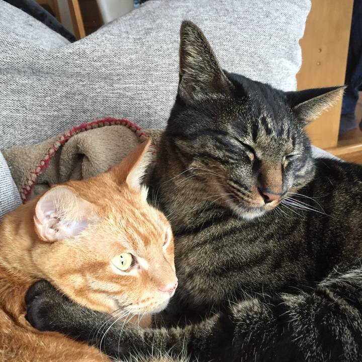 409f0c0e cad4 46c9 abbc 96242160eb0a 1507856620390