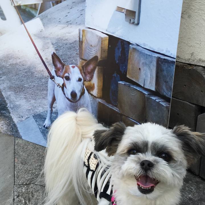 409f1651 93d5 405f 92bc ce3677fa13e5 1524110072283