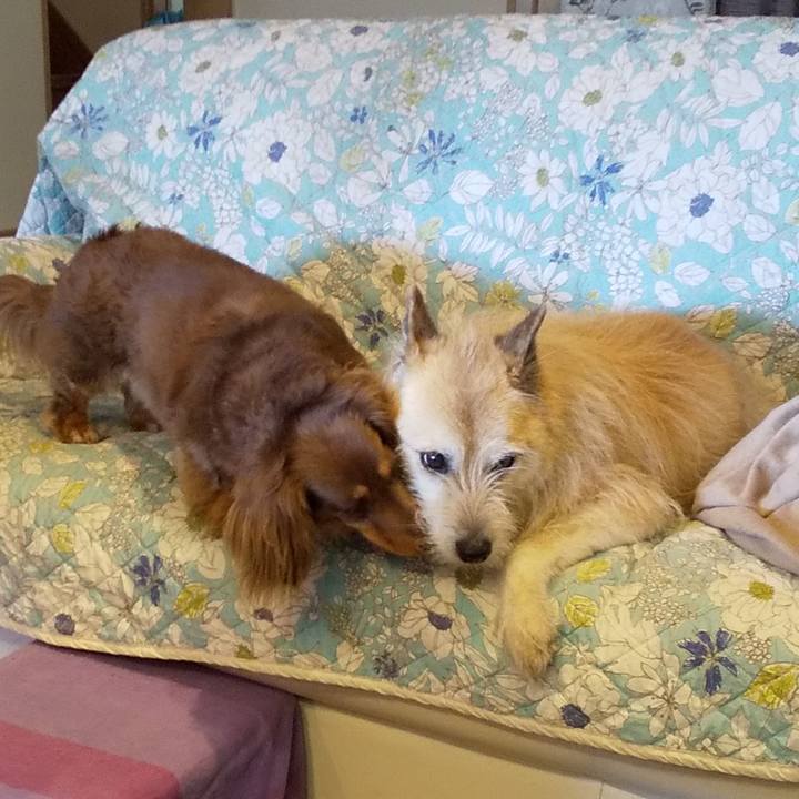 409f2ac8 02e7 4bc3 83e4 d8ab774e70d5 1558751390972