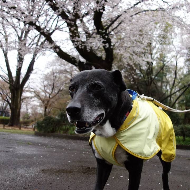 409f2dad ec7a 402e 813d fd6a8dbc03ec 1743205451942