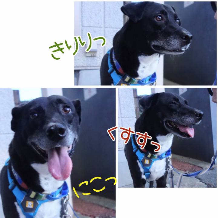 409f86ff 5afa 4887 beaa 148a4bd215ca 1692789140293