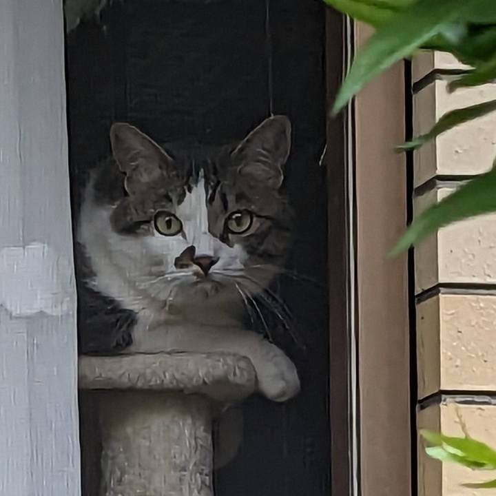 409f9c2a 4876 42b3 87bd 60bdc7e4c93e 1684449811257