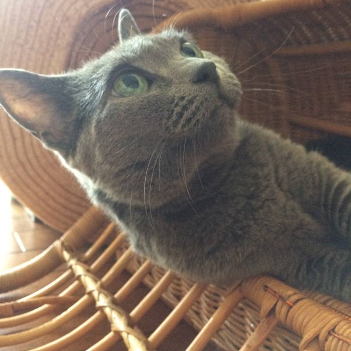 409fe51b 4ca5 4996 a8ca f8373d128153 1535154128921