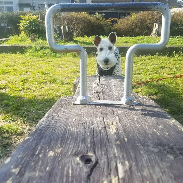 40a0272f e17f 4fd7 b3d4 7e0265e06f3e 1584694283408