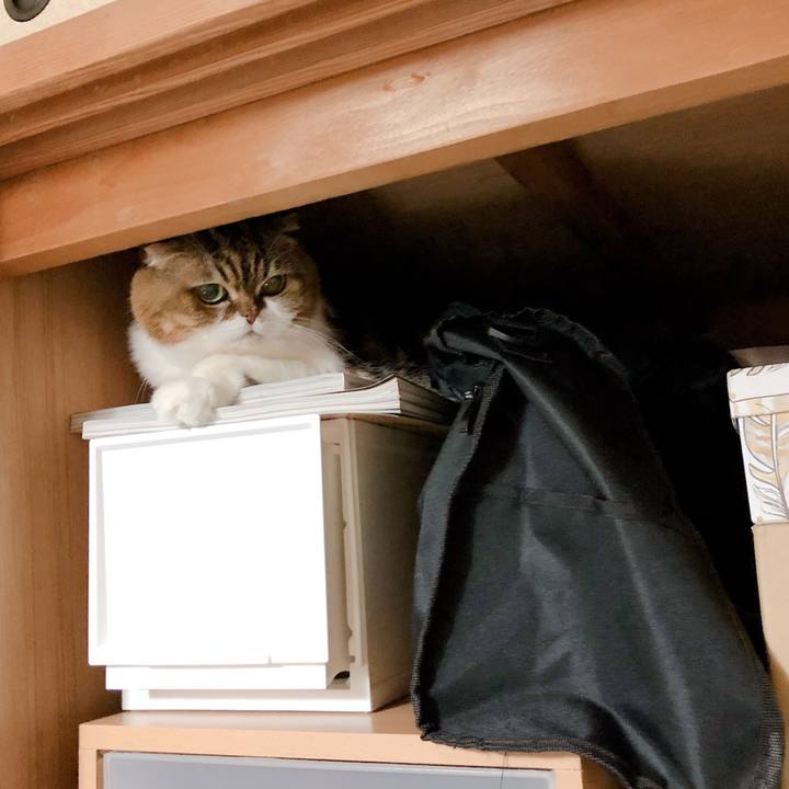 40a04e9b b15f 45a7 8999 9e1597065859 1573831238401