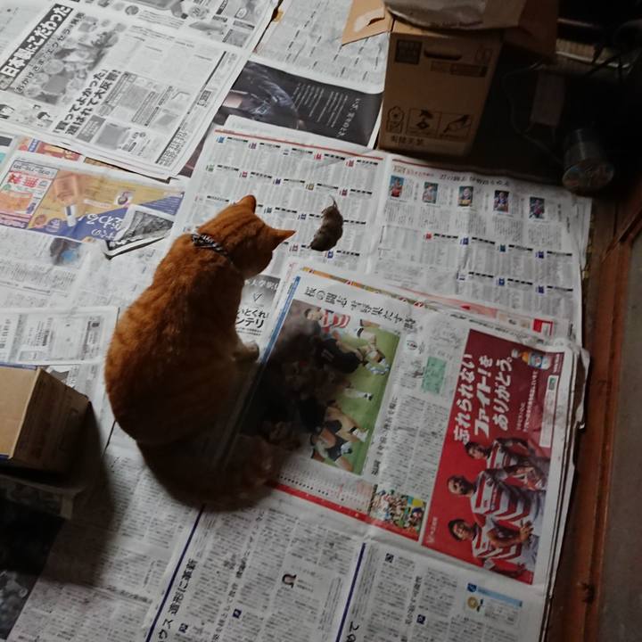 40a081b3 5932 4588 ac82 0bedf801f5bc 1573682112832