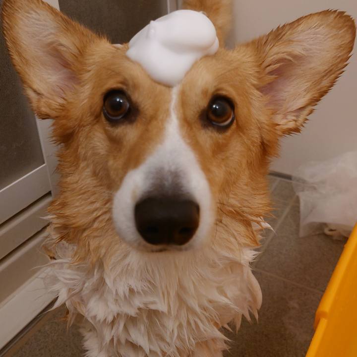 40a0cc48 2a53 4596 a332 54ff3dc1e87f 1765096596133