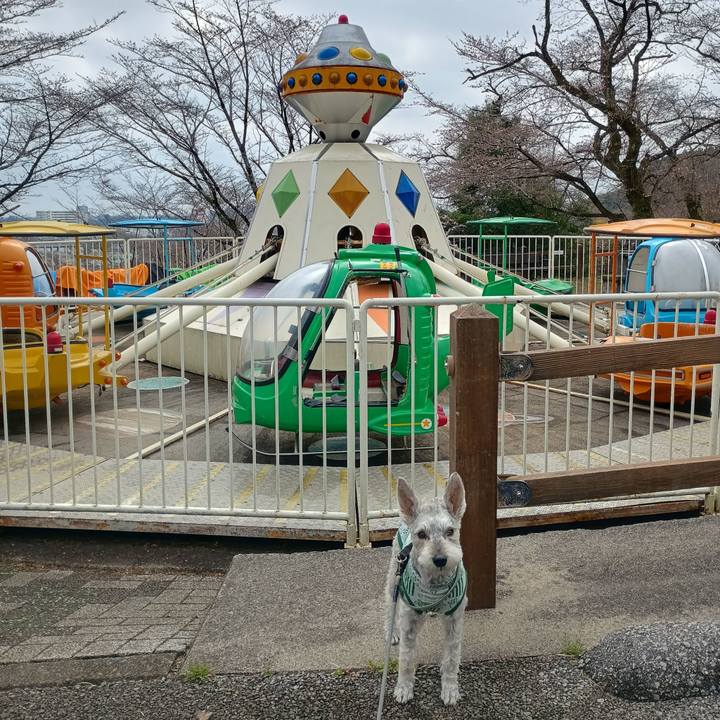 40a0fe5a d87a 49dd a0c0 3db4ea35c032 1774702084706