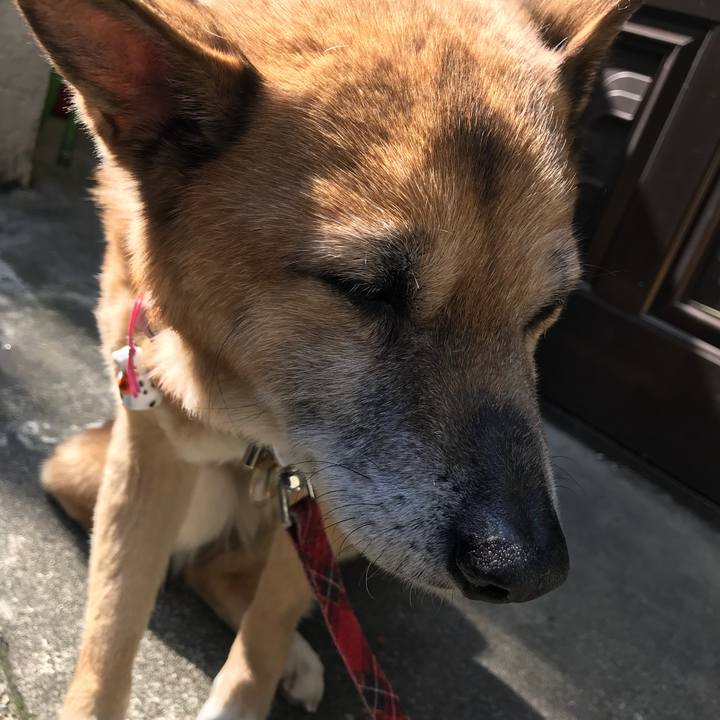 40a1019e b0a8 42b5 b9bf 5102e19ff24d 1521937756721