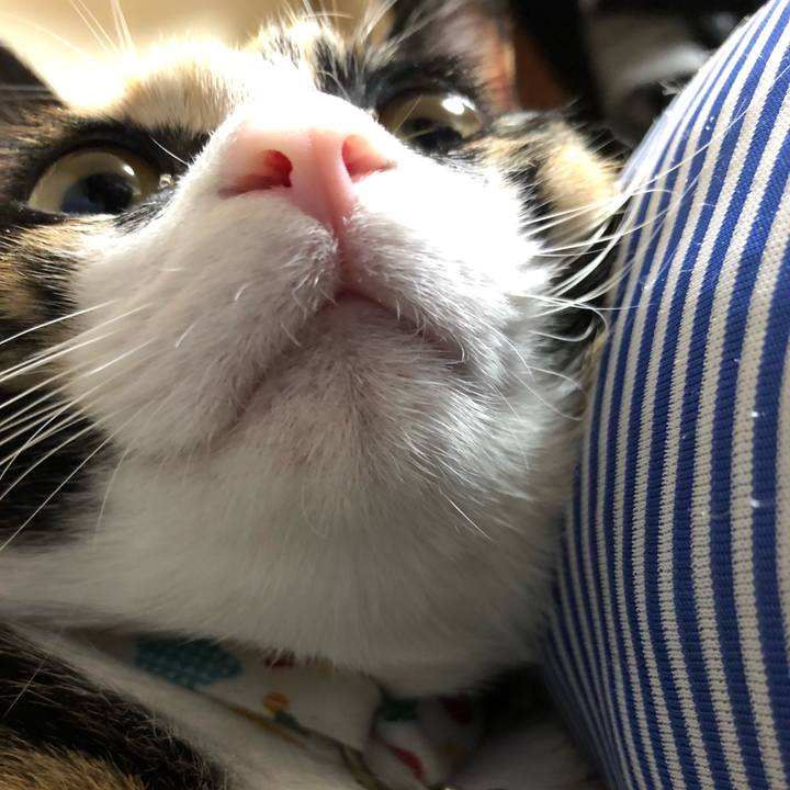 40a11a69 23b9 40d9 b118 60f7163b1127 1564919100346