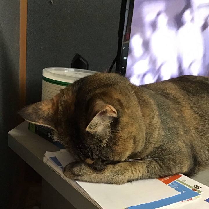 40a1201b cefd 496e b023 7f7370273527 1630052734728