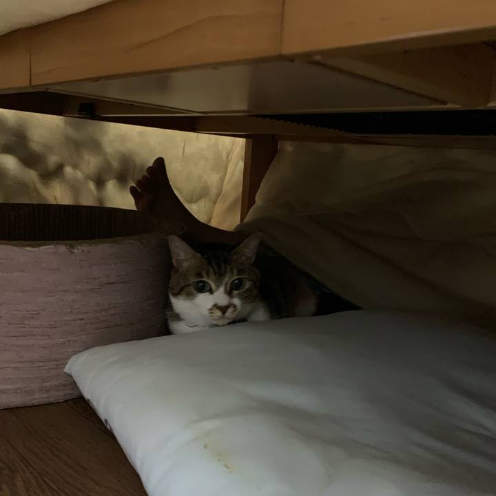 40a14c7e e53a 434f 8ce1 6268661985b3 1573724696044