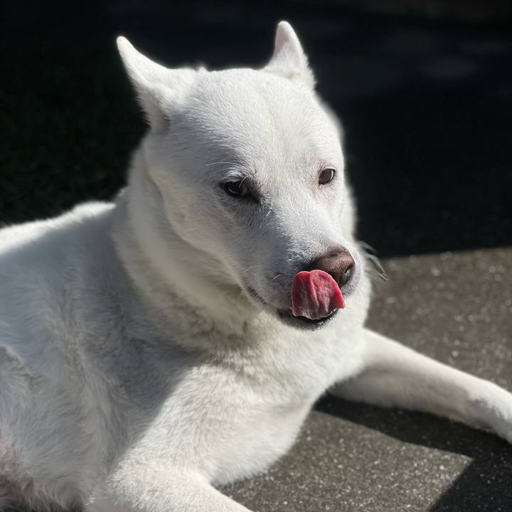 40a17427 7228 4d02 8e72 661a9961e88f 1707716106180