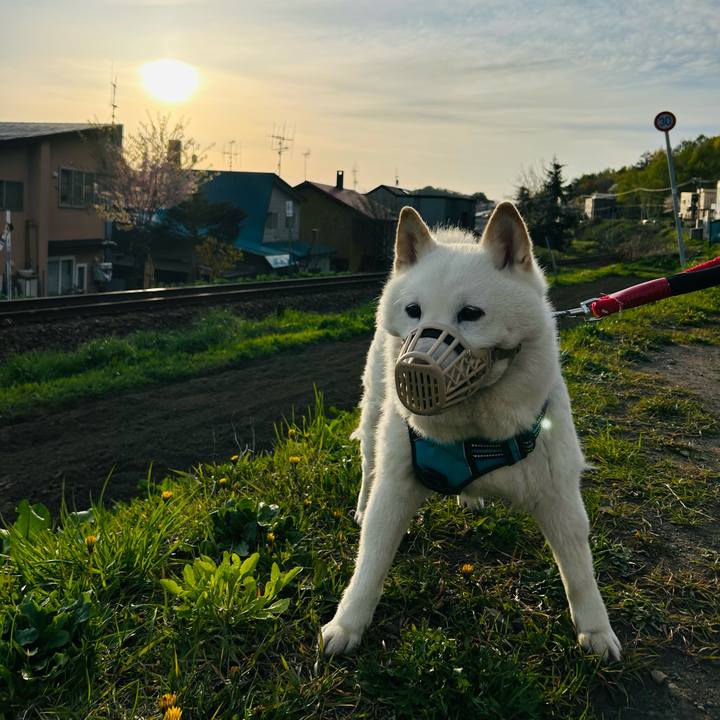 40a18222 3c25 4584 9437 6676ff84a6f8 1683061799698