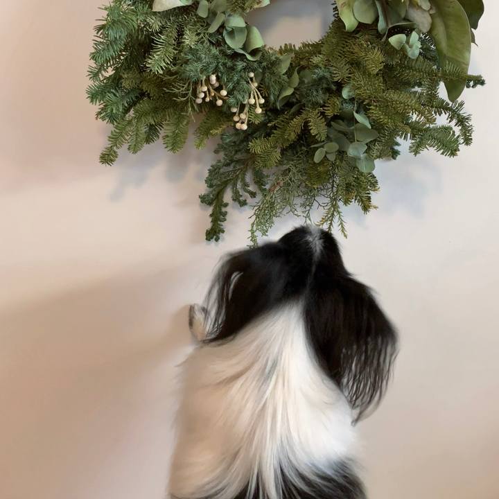 40a1a7c1 cd39 4995 a7a6 aa08c52671ed 1544832240461