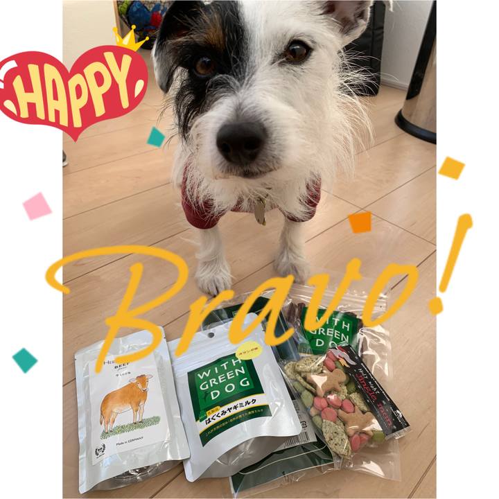 40a1b21c e29f 44d2 b980 925b137df9e1 1574229646649