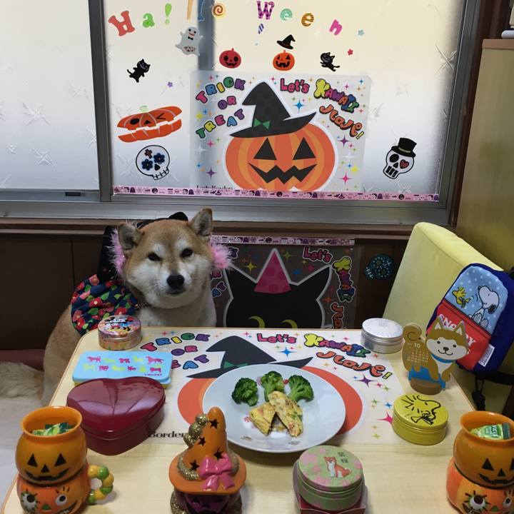 40a1c752 0ca7 4f50 b723 cc61b24d22b8 1572500991004