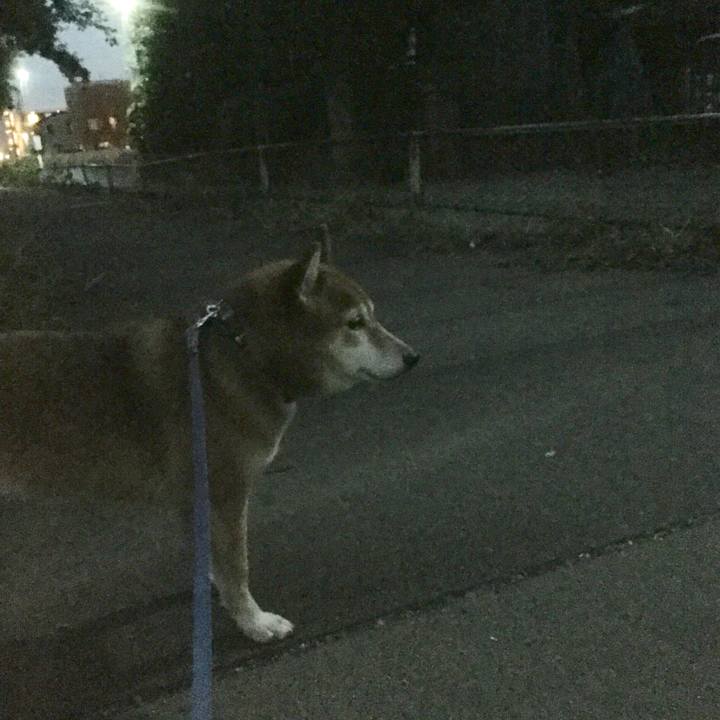 40a1d725 2844 4ca7 820d 41bf25d3cf36 1571649125618