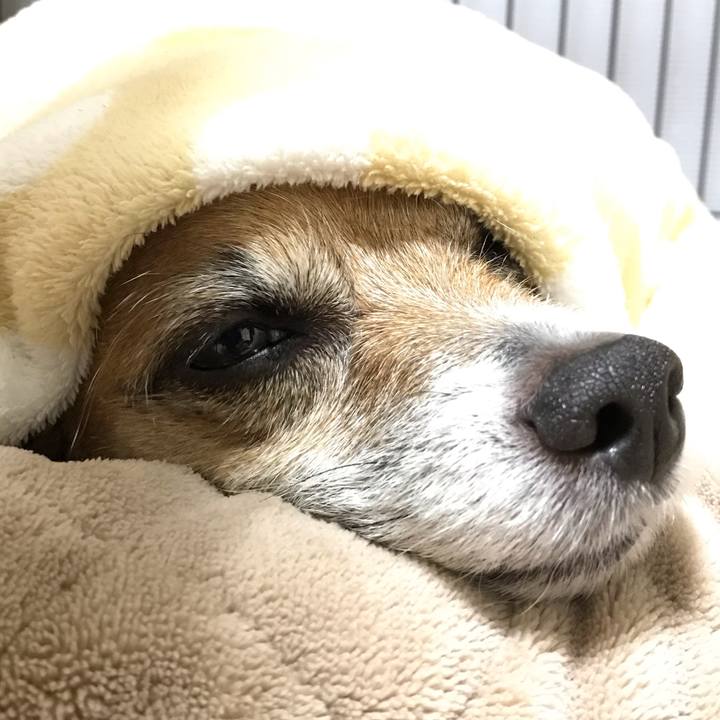 40a1e314 db32 4253 9923 eaf7640ca415 1546435127233