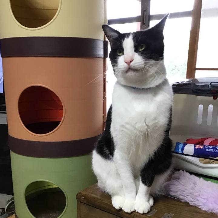 40a1e348 589e 495f 8794 d7557d84ce96 1685617802258